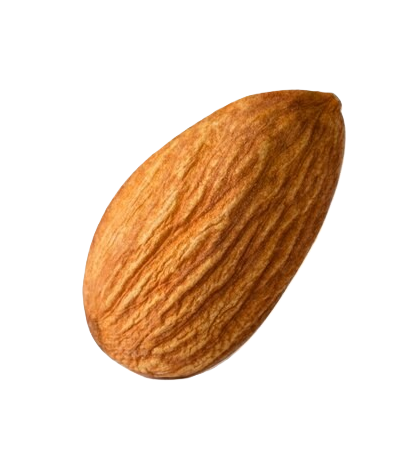 Almond