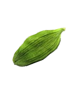 Cardamom