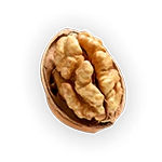 Walnut